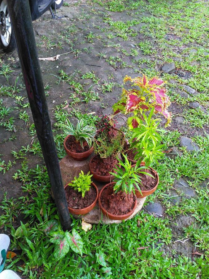 Penginapan Griya Palayu Bogor